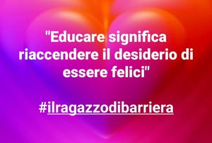 Image post by @raffaelevona on Instagram