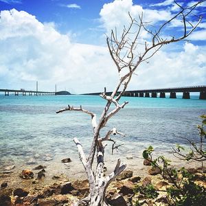 Image post by @kirstenalana on Instagram