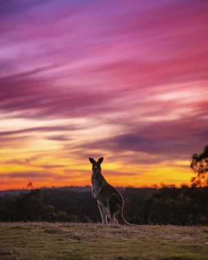 Image post by @visitmelbourne on Instagram