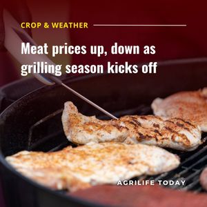 Image post by @txextension on Instagram