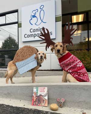 Image post by @canineorg on Instagram