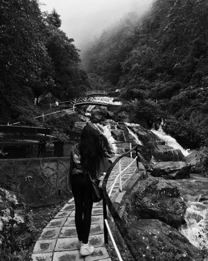 Image post by @alankriti13 on Instagram