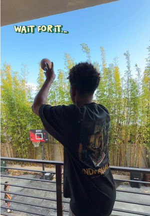 Video post by @wild_mahogany on TikTok