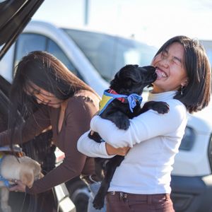 Image post by @canineorg on Instagram