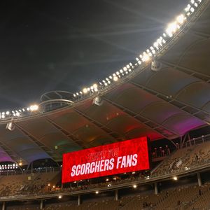 Image post by @scorchersbbl on Instagram
