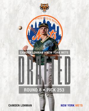 Image post by @rawlingstigers on Instagram