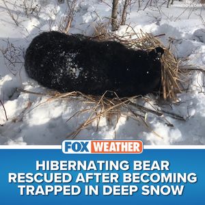 Image post by @foxweather on Instagram