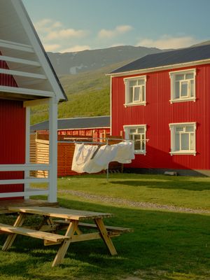 Image post by @alexkittoephotos on Instagram