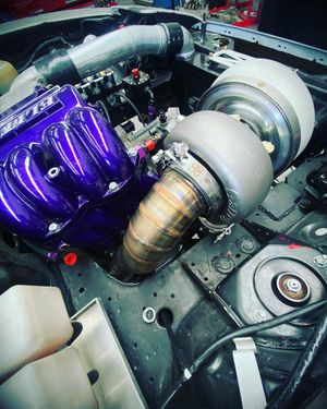 Image post by @lincoln_whiddett on Instagram