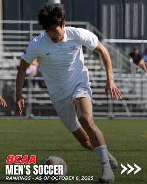 Image post by @theocaa on Instagram