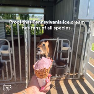 Image post by @pennsylvaniagov on Instagram