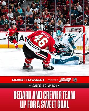 Image post by @nhl on Instagram