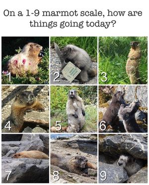 Image post by @nationalparkservice on Instagram