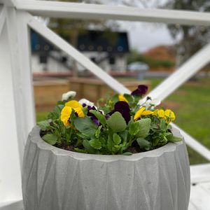 Image post by @thebowiesa on Instagram