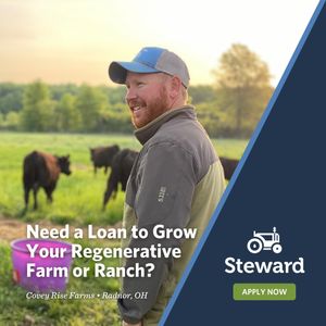 Image post by @steward on Instagram