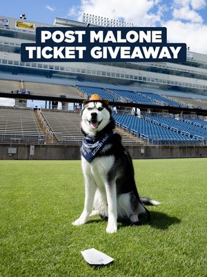 Image post by @pwstadium on Instagram