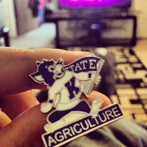 Image post by @kansasstateuniversity on Instagram