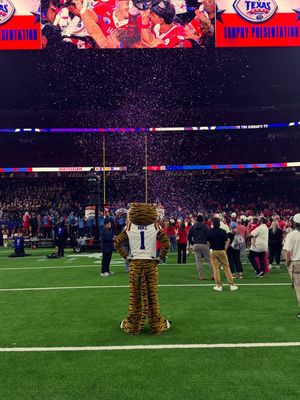 Image post by @lsumiketiger on Instagram