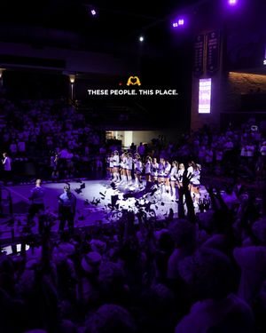Image post by @KStateVB on Twitter