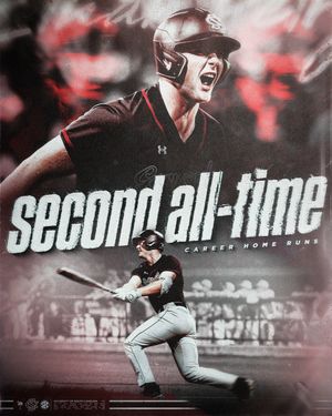 Image post by @gamecockbaseball on Instagram