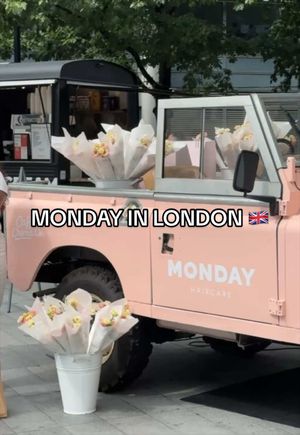 Video post by @mondayhaircare on TikTok