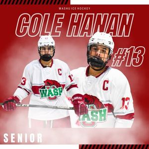 Image post by @washuhockey on Instagram