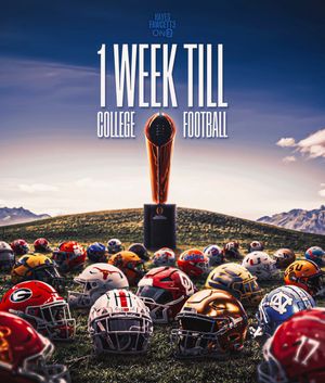 Image post by @Hayesfawcett3 on Twitter