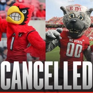 Image post by @dawgalerts on Instagram