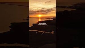 Video post by @ecuofficial on YouTube