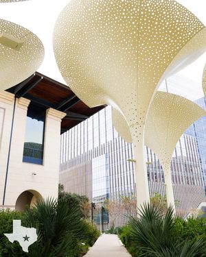 Image post by @utaustintx on Instagram