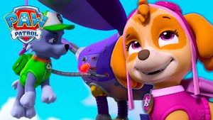 Video post by @pawpatrolofficial on YouTube