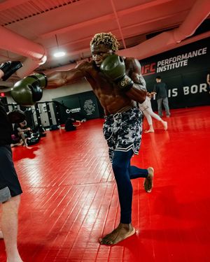 Image post by @ufcpi on Instagram