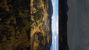 Video post by @alex_spence1 on YouTube