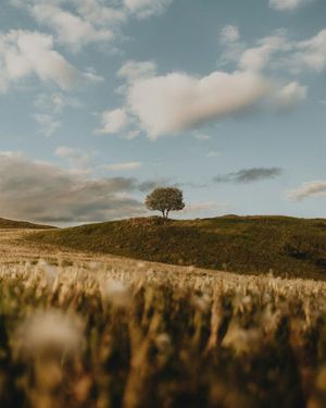 Image post by @unsplash on Instagram