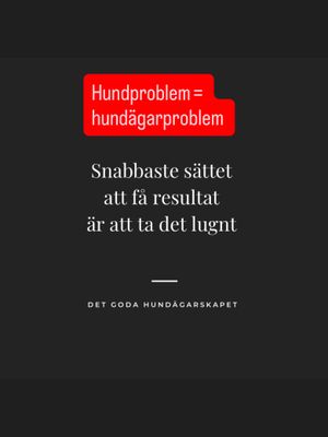 Image post by @det_goda_hundagarskapet on Instagram