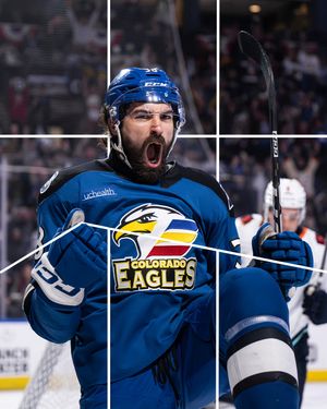 Image post by @theahl on Instagram