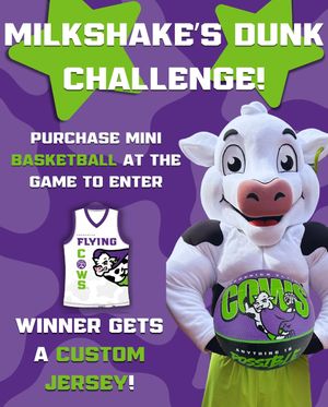 Image post by @goflyingcows on Instagram