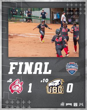 Image post by @iwuwildcats on Instagram