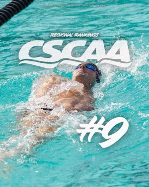 Image post by @chapmanuswimdive on Instagram