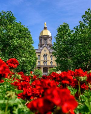 Image post by @thefightingirish on Instagram