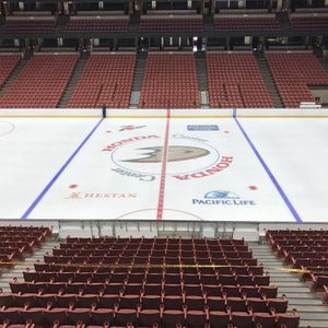 Image post by @anaheimducks on Instagram