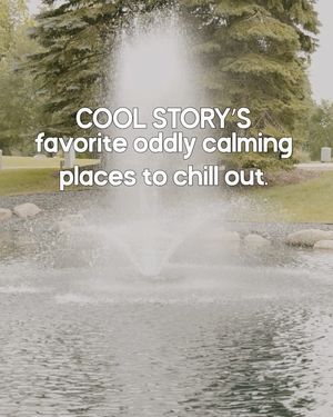 Image post by @coolstorympls on Instagram