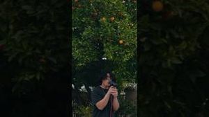 Video post by @zzzsammm on YouTube