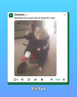 Image post by @yikyakapp on Instagram