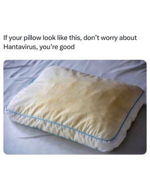 Image post by @hoodclips on Instagram