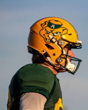 Image post by @uabearsfootball on Instagram