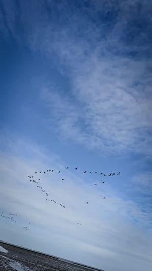 Video post by @henargomezphotography on Facebook