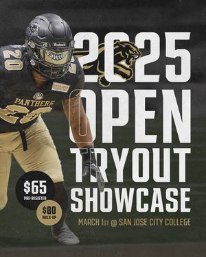 Image post by @panthersifl on Instagram