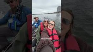 Video post by @bostonwithemily on YouTube