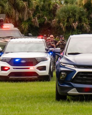 Image post by @palmbaypd on Instagram
